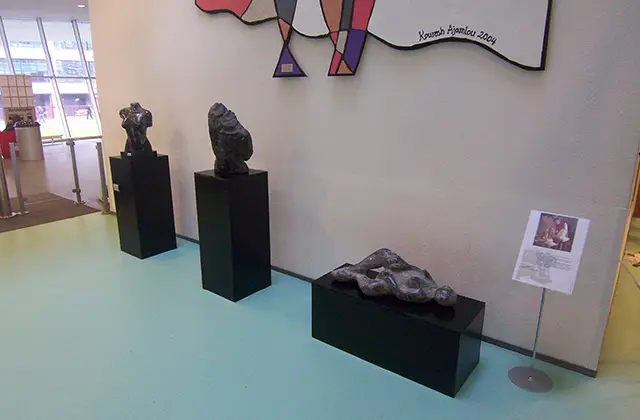 Expositie aan de Hogeschool voor Economische Studies Amsterdam; Amsterdam, Vanaf september 2007